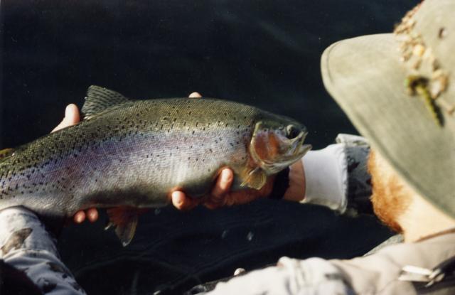 gal/Fishing 1/File0020.jpg